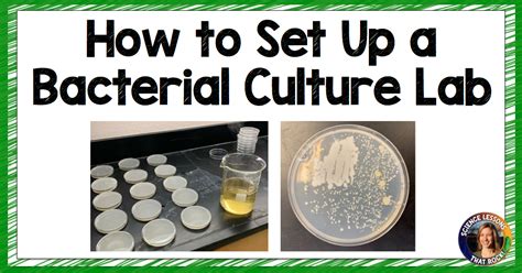 how to grow bacteria in a lab.